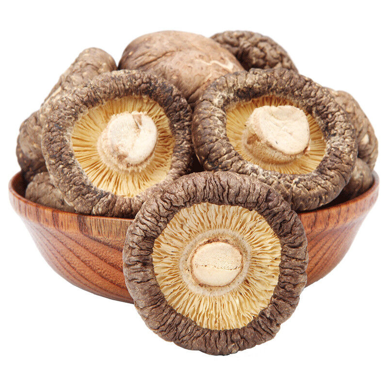 Winter Mushroom Chinese Qing Yuan Dry Shiitake Edible Fungus 500g Kitchen Food