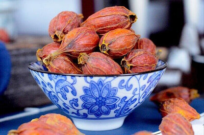 Dried Fructus Gardeniae Cape Jasmine Fruit Gardenia Jasminnoides High Quality