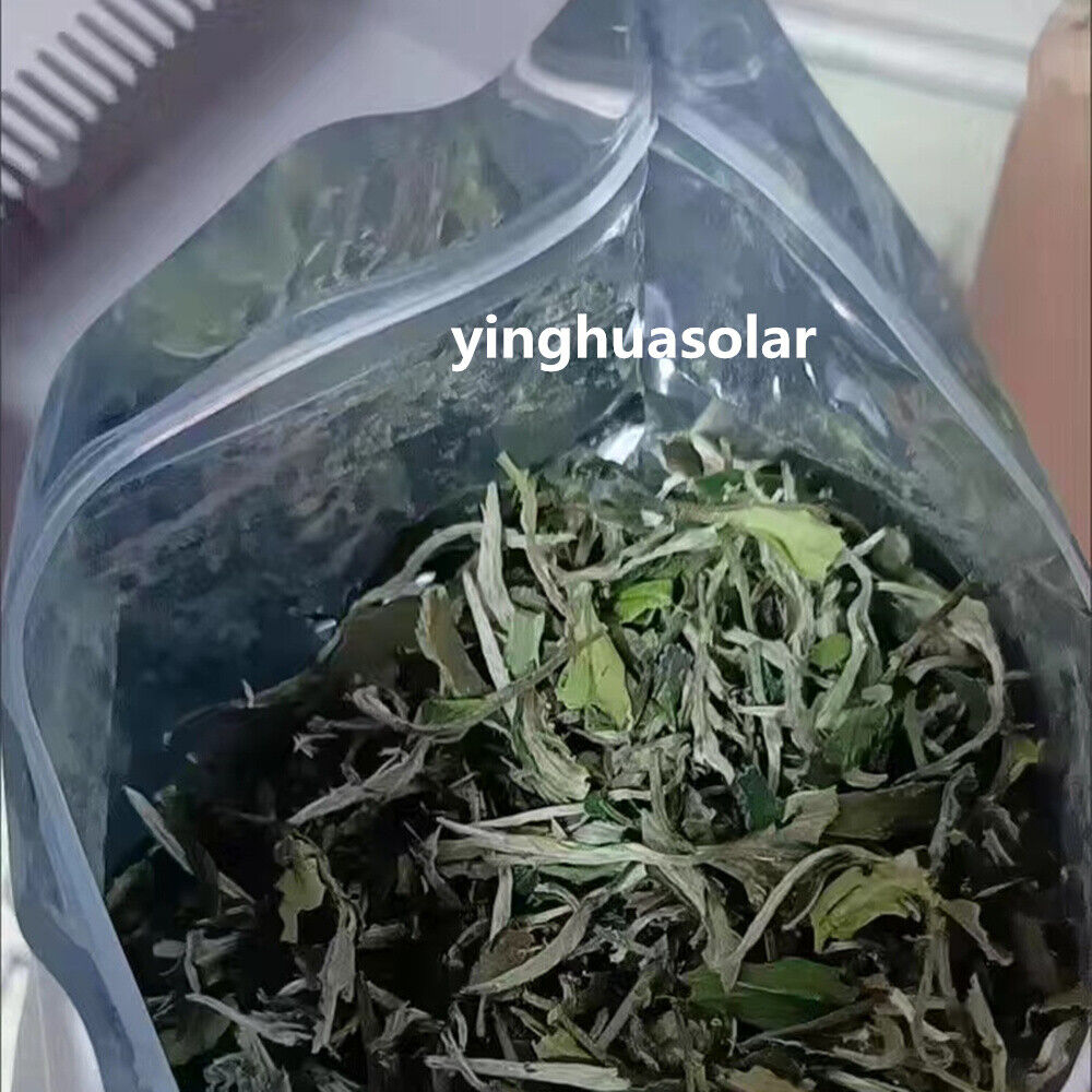 Premium Silver Needle White Tea Bai hao Yin zhen Chinese Tips Loose Tea