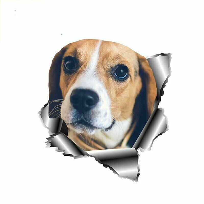 Beagle Car Sticker Pet Dog Decal Reflective Stickers Auto Styling Waterproof