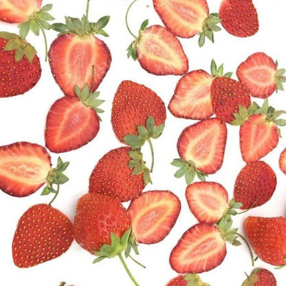 Dried Fruits Pressed Strawberry Meat Slices Plant Herbarium DIY Craft Decor 5Pcs