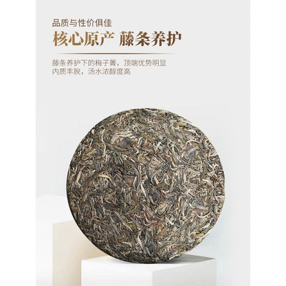 Pu-erh tea,2022,梅子箐 Nahan old tree,357g,Raw