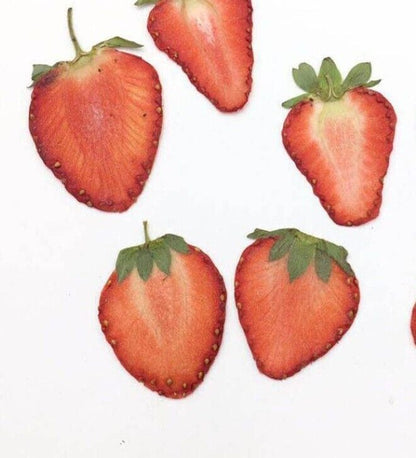 Dried Fruits Pressed Strawberry Meat Slices Plant Herbarium DIY Craft Decor 5Pcs