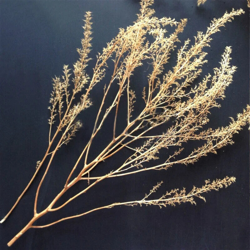 Miniature Quinoa Plant Dry Tree Model DIY Railway Building Sand Table Layout Kit