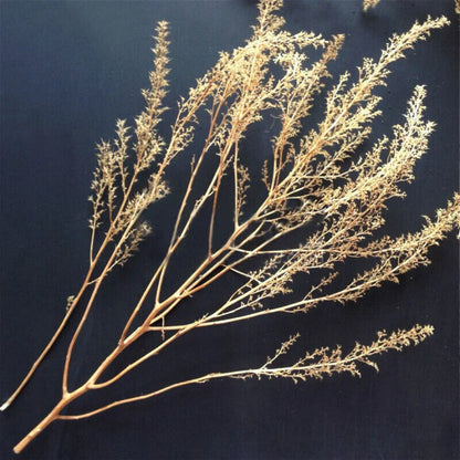 Miniature Quinoa Plant Dry Tree Model DIY Railway Building Sand Table Layout Kit