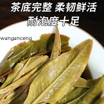 500g Puerh Tea Raw Tea Yunnan Ancient Tree Tea 南糯山甲沱2023春茶新茶新益号普洱茶生茶云南古树茶沱茶