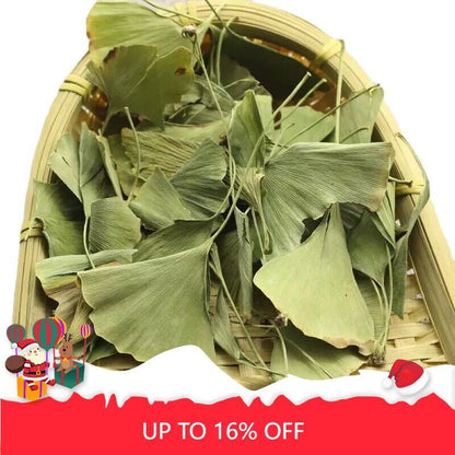 Natural Dried Gingko Biloba Tea Dry Green Gingko Healthy Herbal Gingko Tea 500g