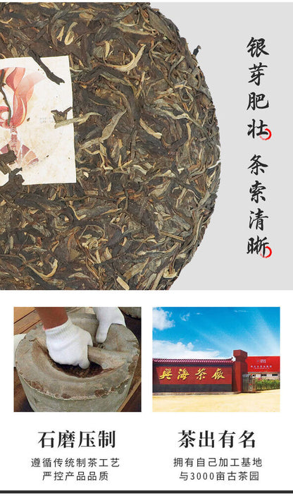Pu-Erh, Xinghai, Phoenix Dance for Nine Days, 2017y,357g,Raw