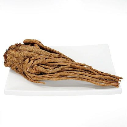 Dried Radix Angelica Sinensis Root Premium Dong Quai Dang Gui 当归 Chinese Herbs