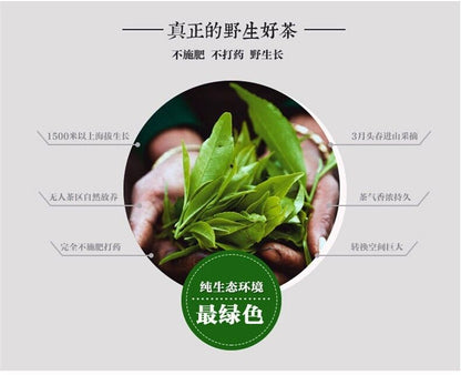 200g Spring cha Puer Tea Brick Wild Trees Pu-erh Tea Premium Organic Green Tea