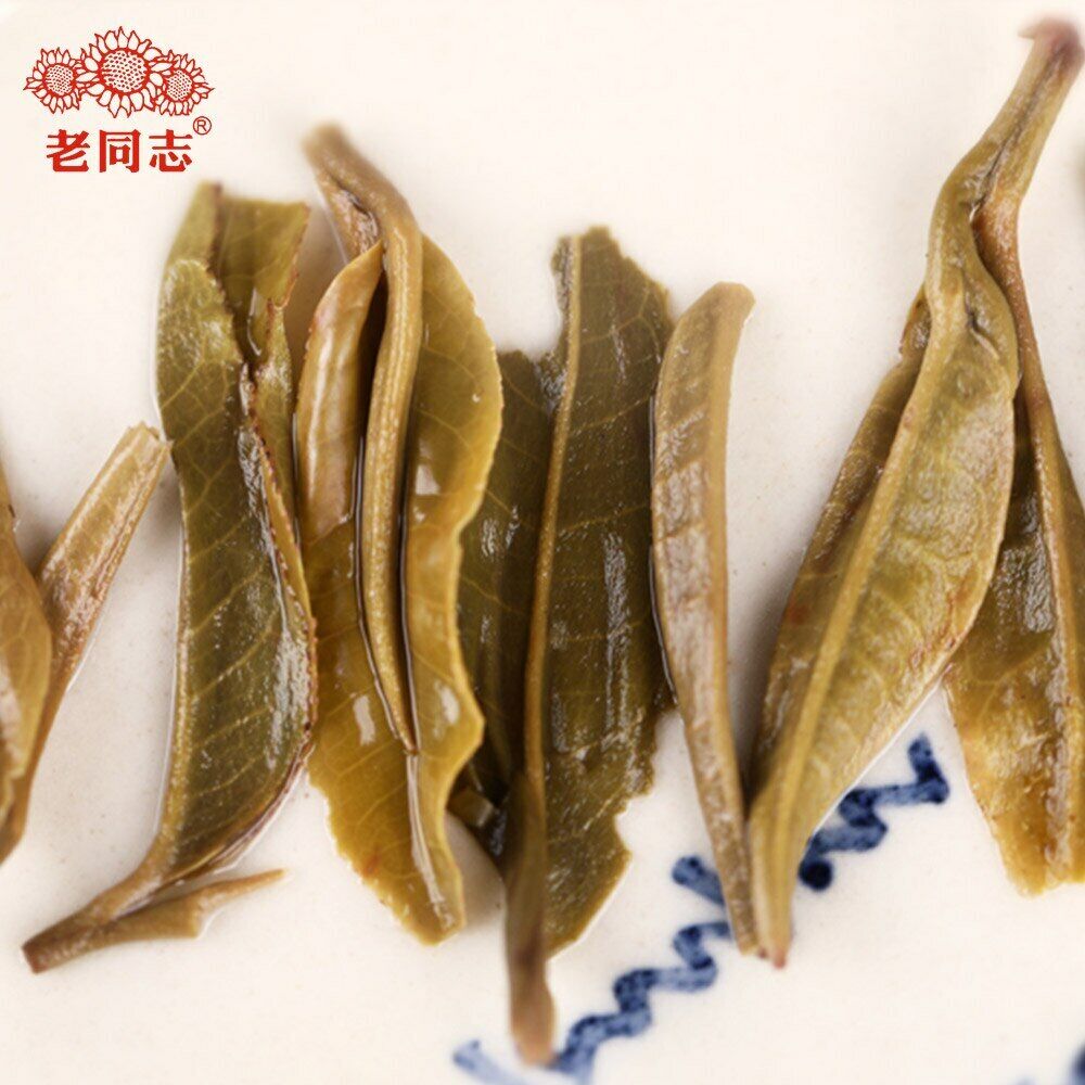 Haiwan The Gathering of Plant Spirit Raw Puer Excellent Shen Puerh Tea 400g