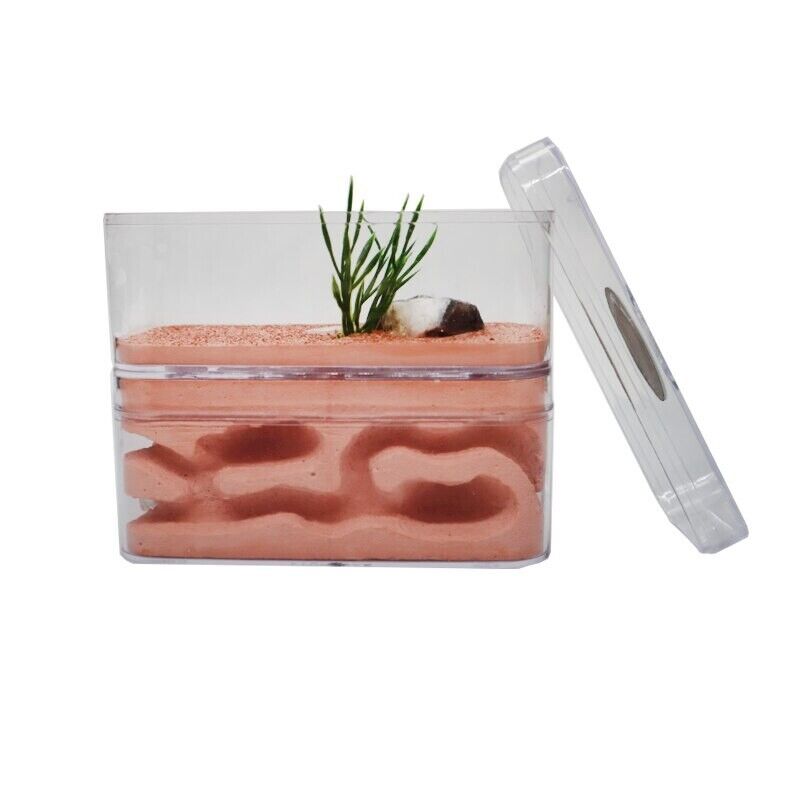 Ant Farm PC Shell+Gypsu Nesting Plaster Insects Box Pet Anthill Castle 12x6x10cm