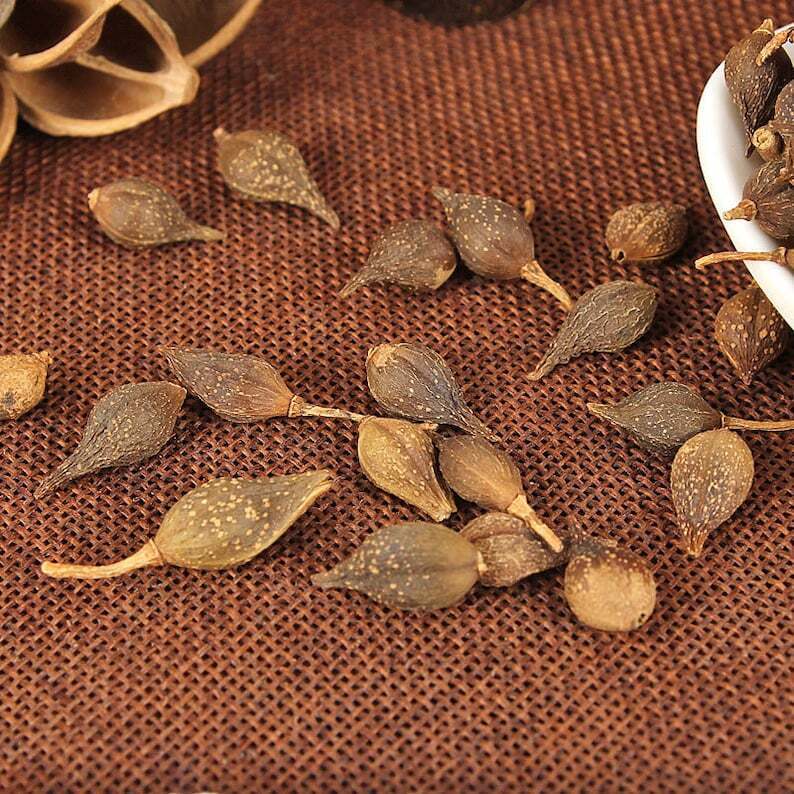 Organic Dried Weeping Forsythiae | Fructus Forsythiae | Lian Qiao