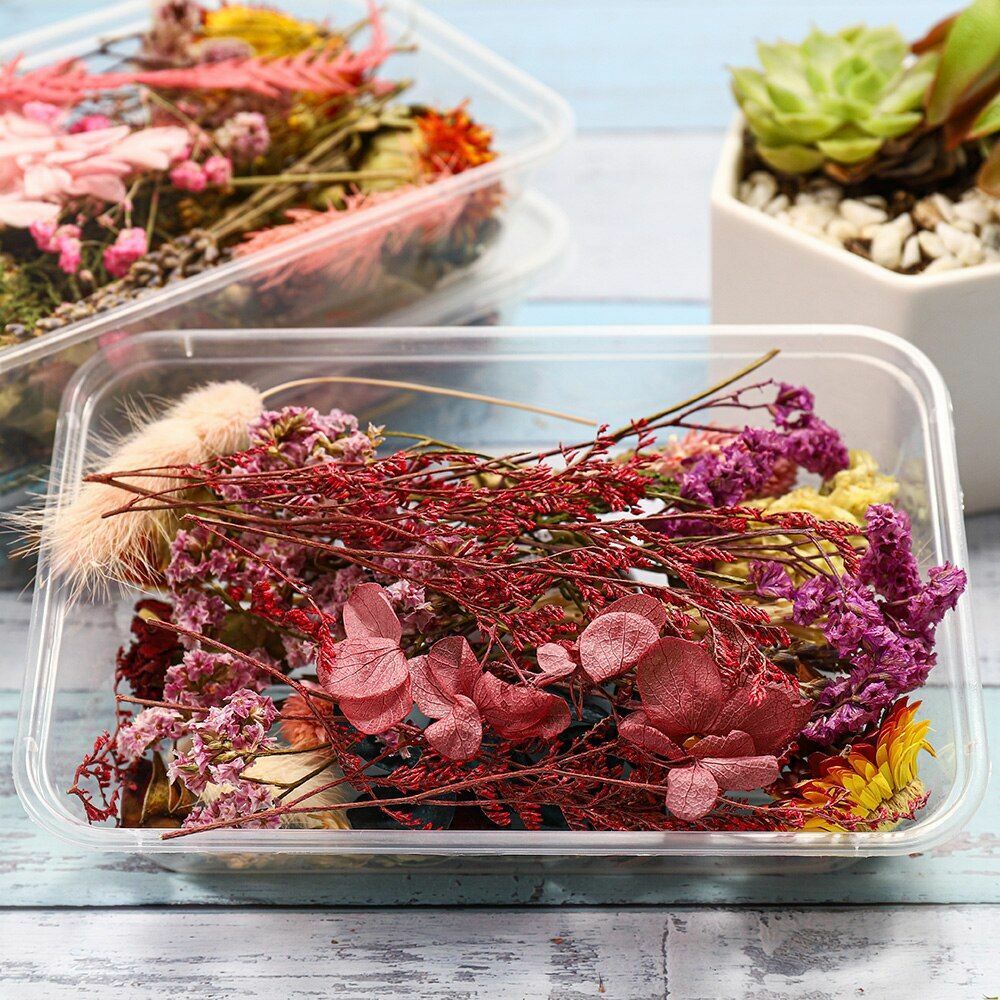1 Box Random Real Dried Flower Resin Mold Fillings Jewelry Making Craft Supplies