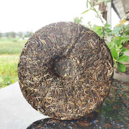 357g Zhonghongying KunLu Mountain Tea Ancient Tree Tea Organic Pu'er Spring Tea