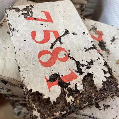 250g Yunnan Old Puerh Raw Tea Brick 1980 7581 Aged Pu-erh Brick Tea Raw Puer Tea