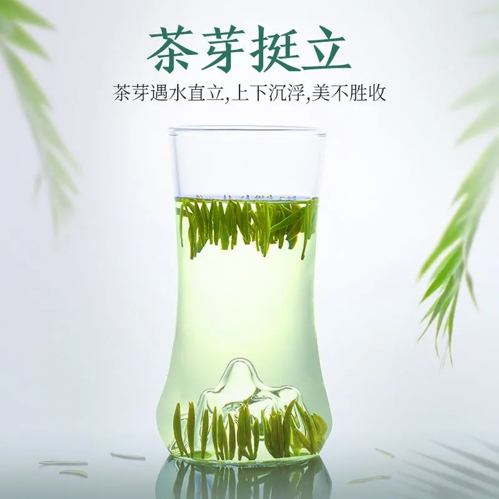 50g Hand Picked Sparrow Tongue Green Tea Gift Box China Organic Jin Tan Que She