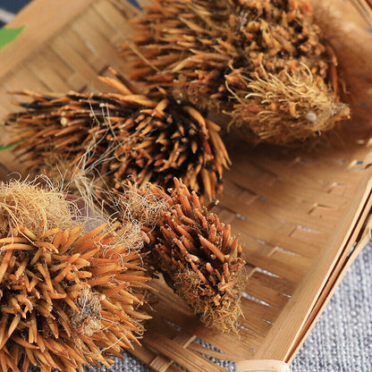 50g 100% Chinese Herbal Tea正品刺猬皮 High Quality Authentic Hedgehog Skin Ciweipi