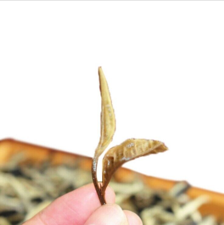 YunNan moonlight beauty moonlight white tea moonlight puerh tea White Puer Tea