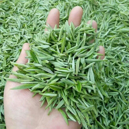 Early Spring Xin Yang Mao Jian Green Tea Handmade Loose Maojian Green Tea 250g