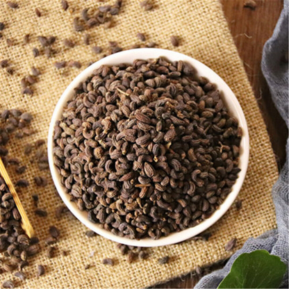 NV Zhen Zi Chinese Herb 100% Natural Ligustri Lucidi Fructus-