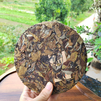 300g Yunnan Pu-erh Tea Cake Moonlight White Tea Ancient Tree Chinese Pu'er Tea