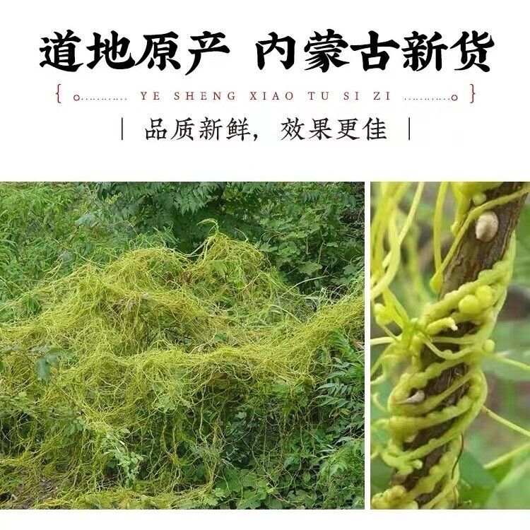 Dodder 菟丝子泡水菟丝子 补益肝肾 腰膝酸软 头晕耳鸣 须发早白 100g~500g Chinese Herbs