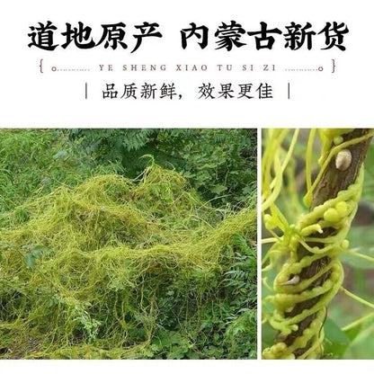 Dodder 菟丝子泡水菟丝子 补益肝肾 腰膝酸软 头晕耳鸣 须发早白 100g~500g Chinese Herbs
