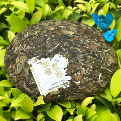 2019 Zhongcha Butterfly High Quality White Tea "Chrysanthemum" White Peony 357g