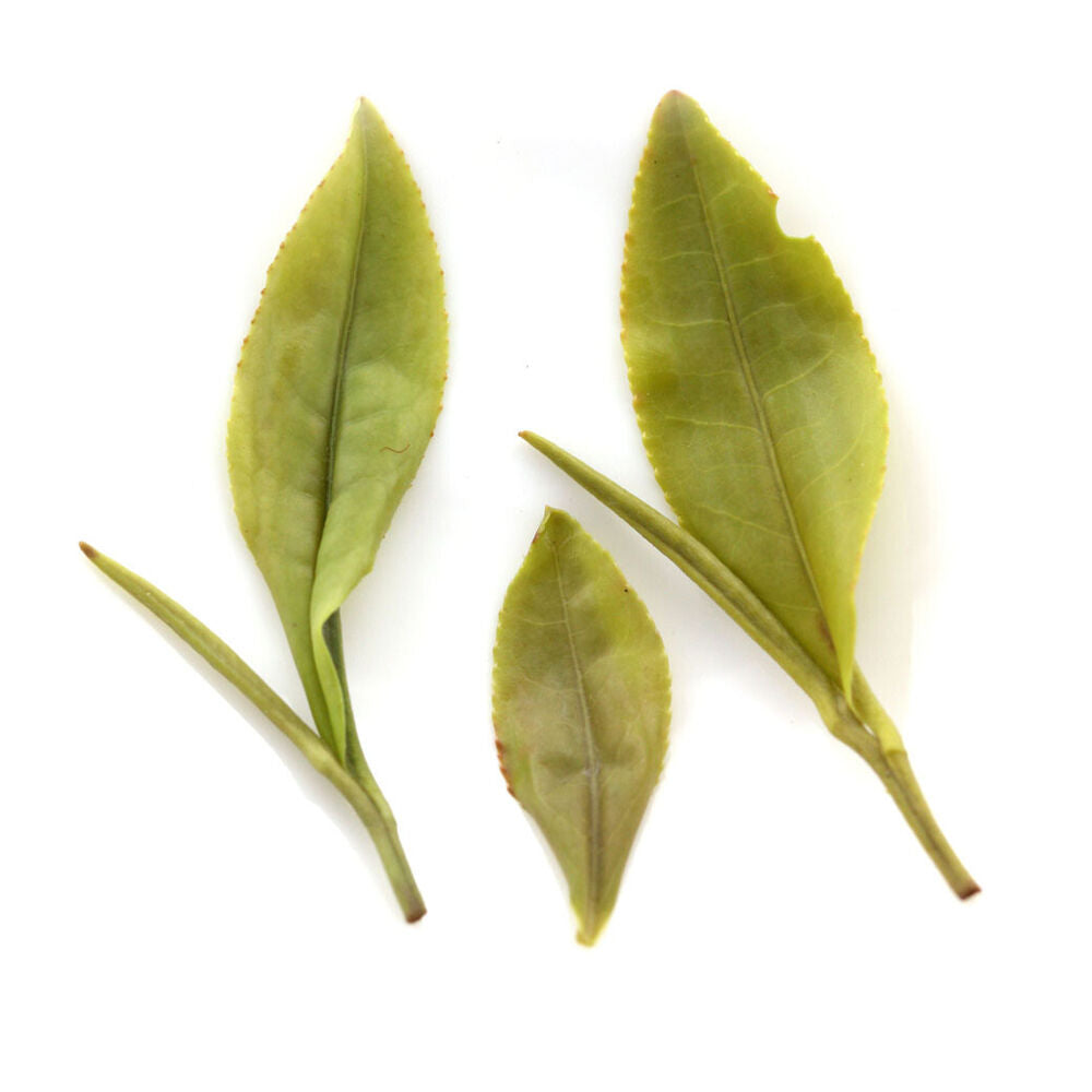 HELLOYOUNG 100g/3.52oz Premium Huangshan Maofeng GREEN TEA Organic MaoFeng