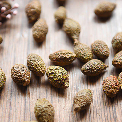 Tea Seeds of the Boatfruit Sterculia Hand Selected Tea Flowers Reduce the-