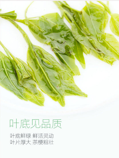 Kudingcha Floral Chinese Herbal Tea【艺福堂 小叶苦丁茶125g/罐】花草茶绿茶红茶 青山绿水 养生茶