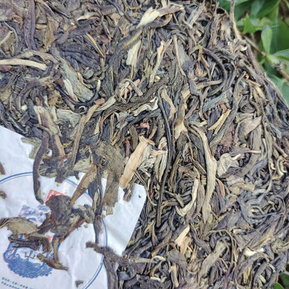 Brown Mountain Ancient Tree Tightly Pressed Pu'er Tea 357g Pu'er Raw Tea Cake