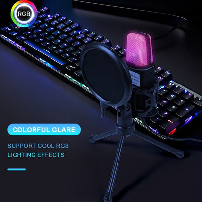 Microphone Mic Kit Broadcasting Studio Recording Condenser tripod For PC Laptop