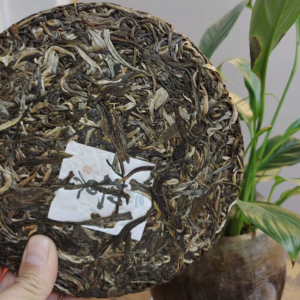 357g Yunnan Iceland Wuzhai Earth Boundary Head Spring Puerh Raw Tea Cake 12.59oz