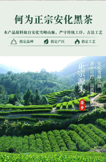 Hunan Specialties Anhua Black Tea 正宗安化黑茶 金花茯砖茶颗粒千两茶坨香浓黑砖茶 颗粒便携小块茶