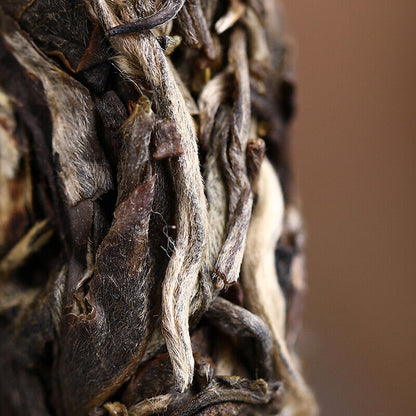400g Haiwan "Liang Yuan Liang Yun" Premium Pu'er Tea Series Raw Pu-erh Tea