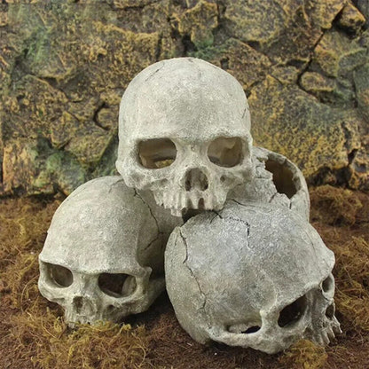 Aquarium Decoration Resin Pirate Skull Skeleton Head Lizards Terrarium Ornaments