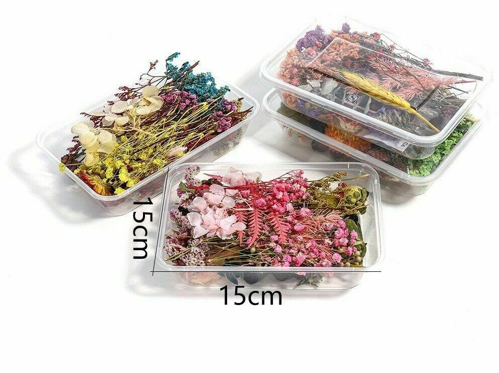 1 Box Random Real Dried Flower Resin Mold Fillings Jewelry Making Craft Supplies