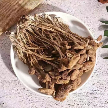 Natural Tea Tree Mushrooms agrocybe cylindracea Dried Mushrooms Kitchen Food