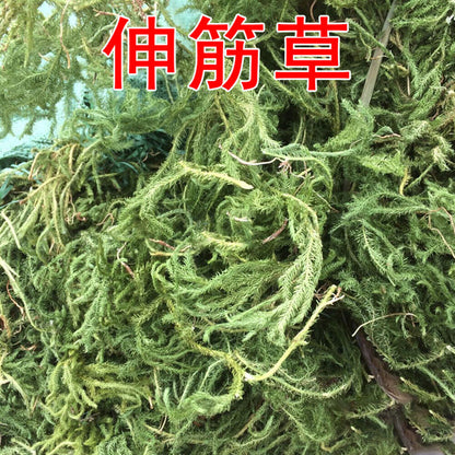 500g Ecology Tendongrass Natural Healthy Herbal Tea New Shenjincao Herbal Drink