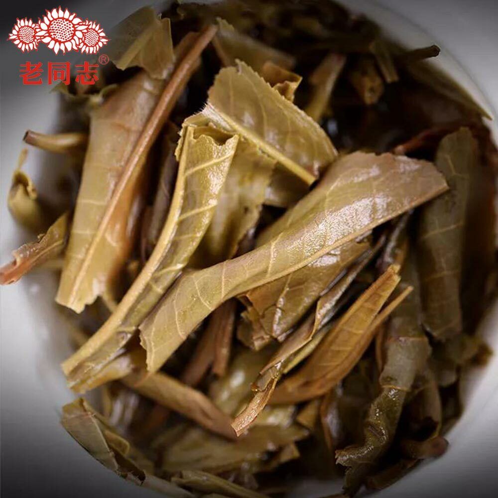 Haiwan 2018 Chinese Puer Tea Liang Yuan "Deng Yun" Raw Puerh 400g