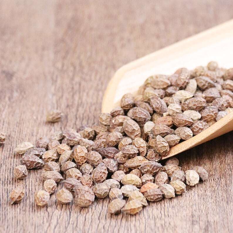 Organic Herbal Java Brucea Fruit Fructus Bruceae Brucea Javanica Great Quality