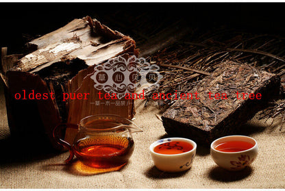 Mature Natural PuEr Tea Yunnan Healthy Drink Black 250g High Quality-