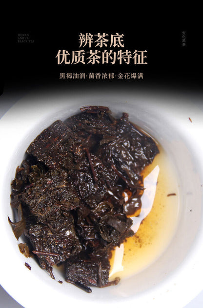 2016 Anhua Instant Hey Cha Mini Fu Zhuan Golden Flower China Dark Tea Brick 200g