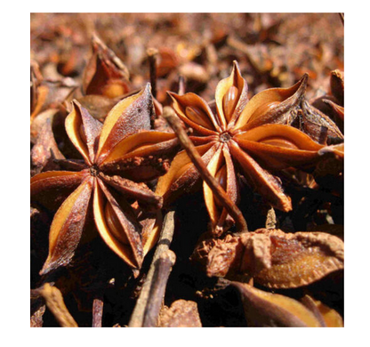 100g~500g China Kitchen Cooking Food Hot Pot Seasoning Spice Star Anise Aniseed
