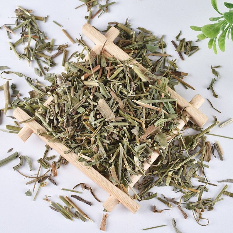 Organic Herbal Bupleurum Chinense DC. Young and Tender Whole Plant Healthy Tea