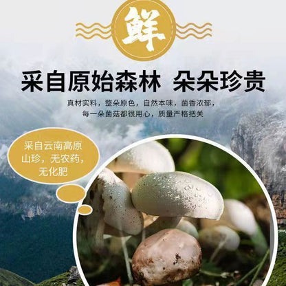 100g Yunnan Specialty Colorful Mushroom Soup Bag Dry Goods 云南特产七彩菌汤包松茸菌蘑菇菌汤包干货汤料