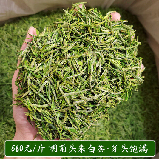 New Tea Mingqian White Tea Maofeng Fengshang Alpine Green Tea 500g/1.1lb