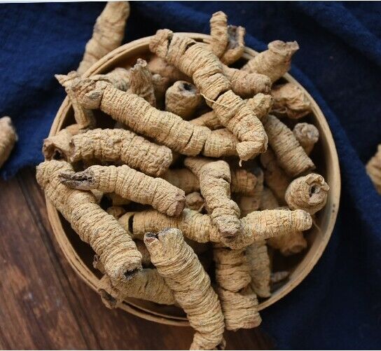 Natural Ba Ji Tian Morinda Root Morindae Officinalis Radix Chinese herbs tea